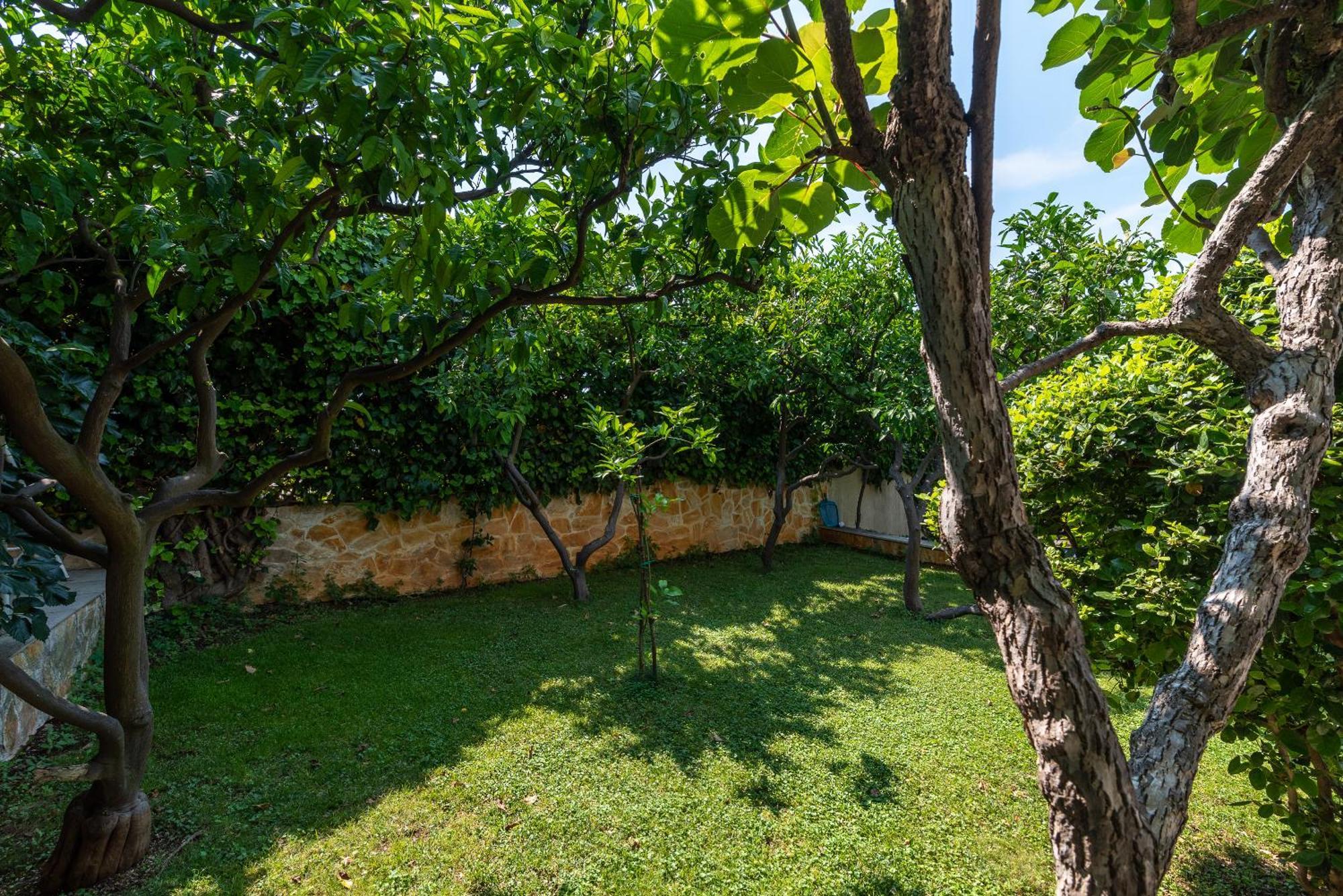 Villa Bakica تروغير المظهر الخارجي الصورة