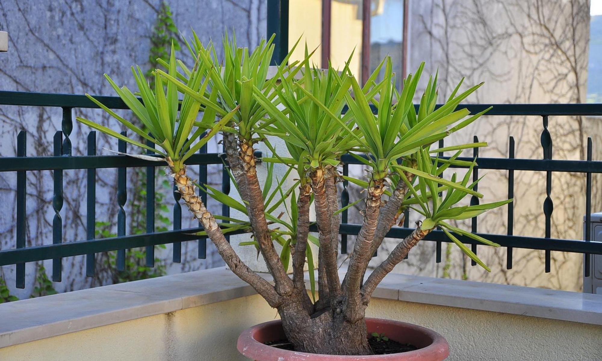 Villa Bakica تروغير المظهر الخارجي الصورة